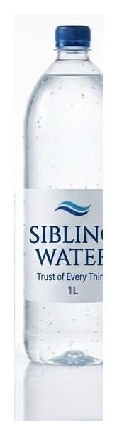 Sibling Water 1 Litre bottle